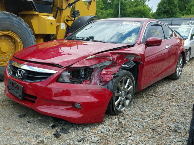 1HGCS2B80BA003551 - 2011 HONDA ACCORD EXL RED photo 2