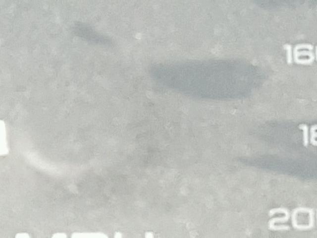 1G3NB52J5X6341727 - 1999 OLDSMOBILE CUTLASS GL BEIGE photo 8