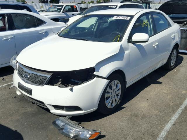 KNAFT4A2XC5623168 - 2012 KIA FORTE LX WHITE photo 2