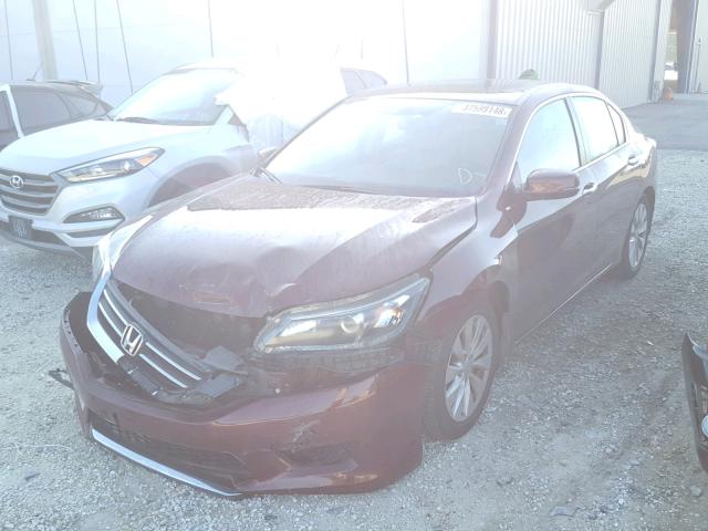 1HGCR2F8XEA164340 - 2014 HONDA ACCORD EXL RED photo 2