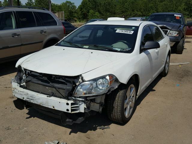 1G1ZA5E19BF292999 - 2011 CHEVROLET MALIBU LS თეთრი ფოტო 2