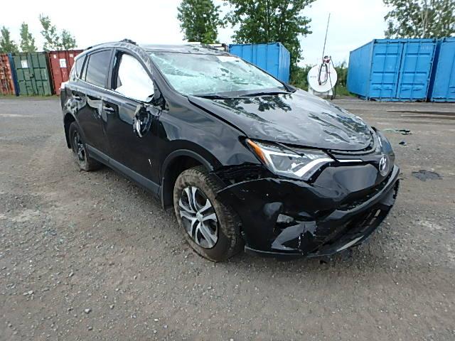 2T3BFREV2GW467054 - 2016 TOYOTA RAV4 LE BLACK photo 1