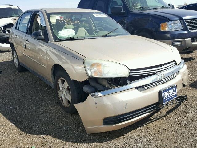 1G1ZT52805F281826 - 2005 CHEVROLET MALIBU GOLD photo 1