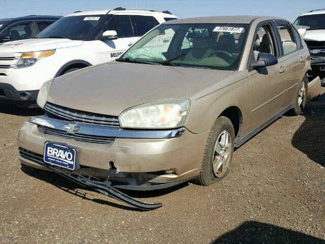 1G1ZT52805F281826 - 2005 CHEVROLET MALIBU GOLD photo 2