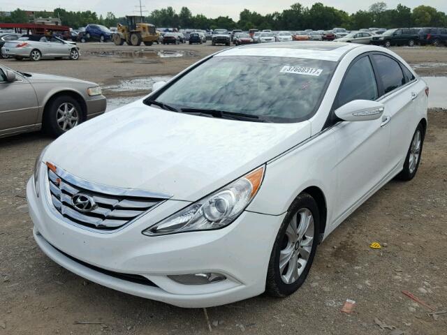 5NPEC4AC1BH000527 - 2011 HYUNDAI SONATA SE WHITE photo 2