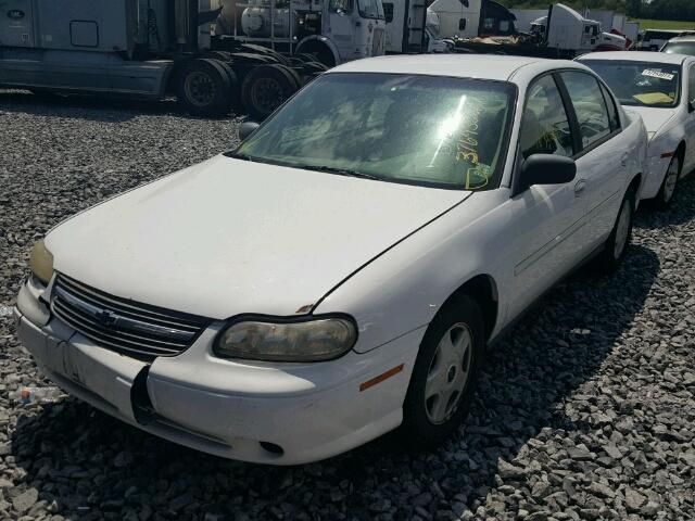 1G1ND52J72M555836 - 2002 CHEVROLET MALIBU WHITE photo 2