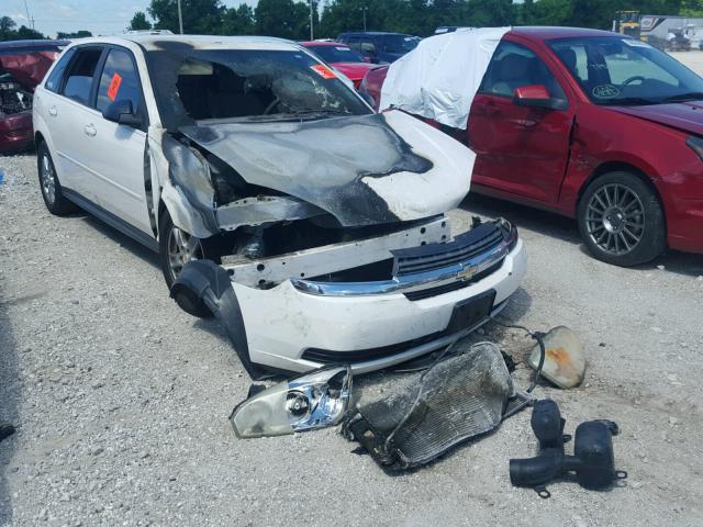 1G1ZT62865F306489 - 2005 CHEVROLET MALIBU MAX 白色 照片 1