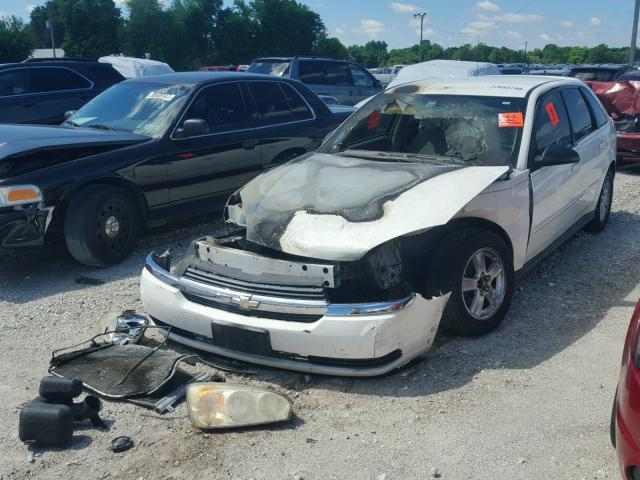 1G1ZT62865F306489 - 2005 CHEVROLET MALIBU MAX 白色 照片 2