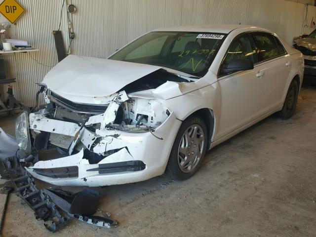1G1ZB5EU4BF247332 - 2011 CHEVROLET MALIBU LS თეთრი ფოტო 2