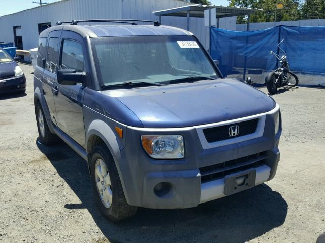 5J6YH28263L004953 - 2003 HONDA ELEMENT DX BLUE photo 1