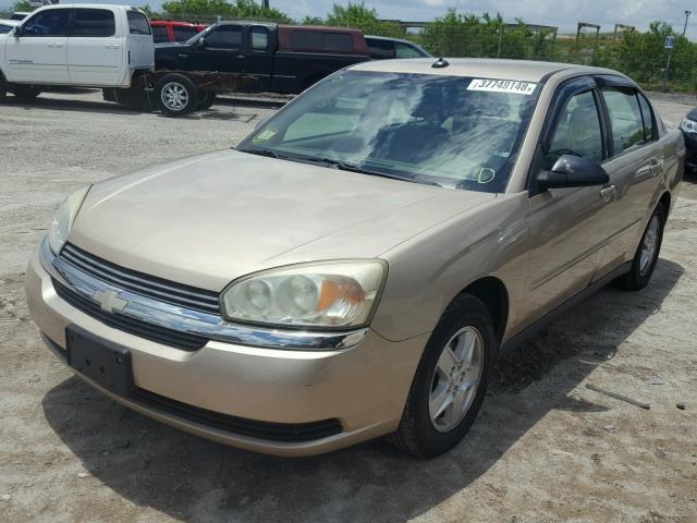 1G1ZT54835F105141 - 2005 CHEVROLET MALIBU LS 金色 照片 2