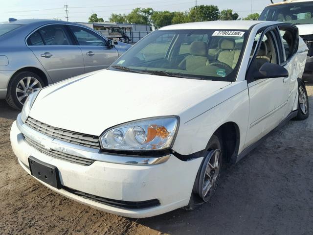 1G1ZT52845F125188 - 2005 CHEVROLET MALIBU LS Ağ foto 2