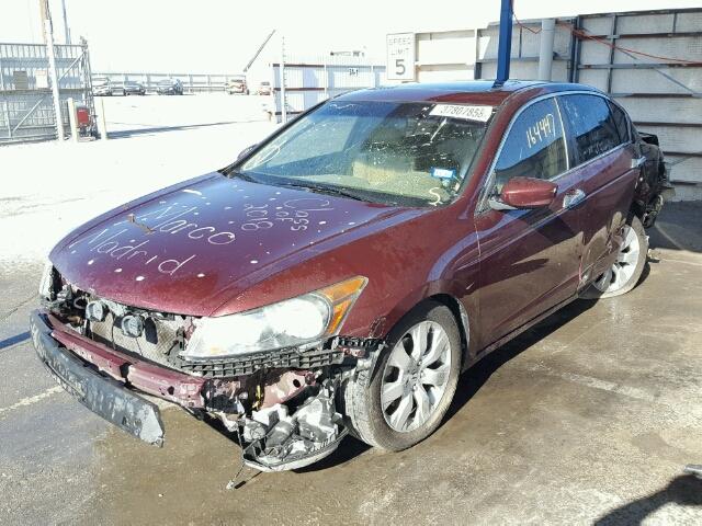 1HGCP36838A043956 - 2008 HONDA ACCORD EXL BURGUNDY photo 2