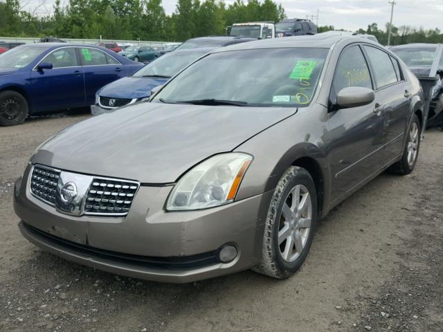 1N4BA41E16C860770 - 2006 NISSAN MAXIMA SE TAN photo 2