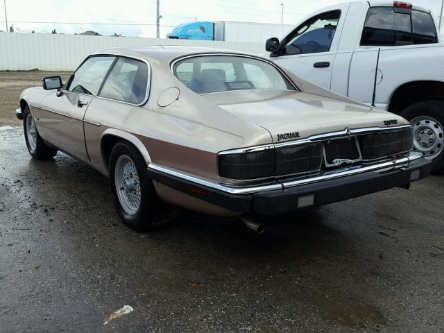 SAJNW5843NC181577 - 1992 JAGUAR XJS BEIGE photo 3