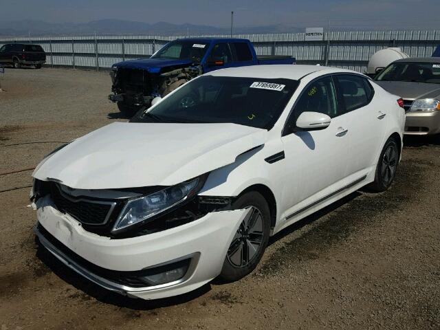 KNAGM4AD4C5031414 - 2012 KIA OPTIMA WHITE photo 2