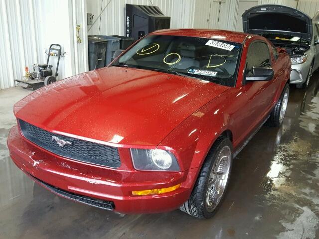 1ZVFT80NX75292262 - 2007 FORD MUSTANG RED photo 2