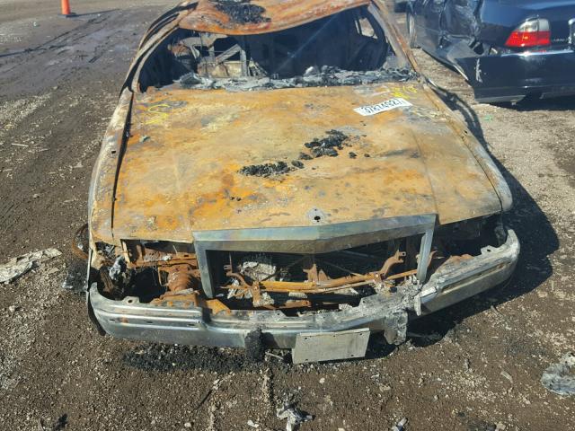 1G6DW5275PR705361 - 1993 CADILLAC FLEETWOOD BURN photo 7