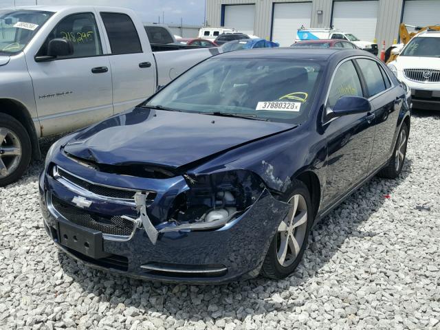 1G1ZC5EU1BF190567 - 2011 CHEVROLET MALIBU 1LT 蓝色 照片 2
