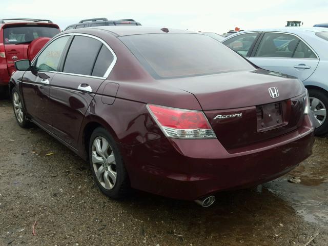 1HGCP36858A038726 - 2008 HONDA ACCORD EXL MAROON photo 3