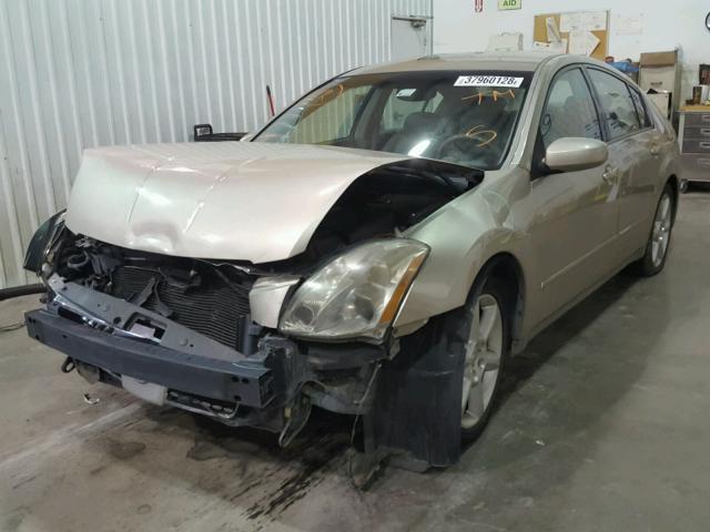 1N4BA41E35C802870 - 2005 NISSAN MAXIMA SE GOLD photo 2