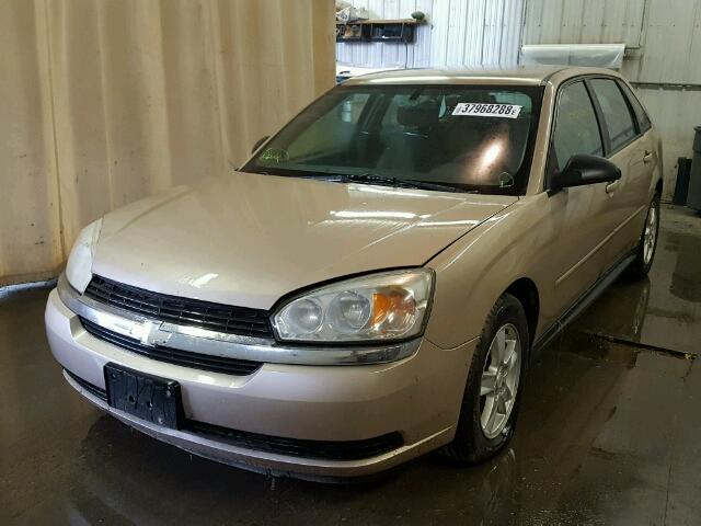 1G1ZT62874F199256 - 2004 CHEVROLET MALIBU MAX 金色 照片 2