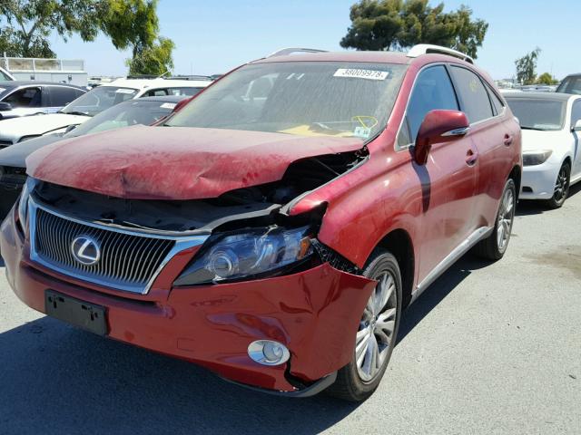 JTJBC1BA1B2417529 - 2011 LEXUS RX 450 RED photo 2