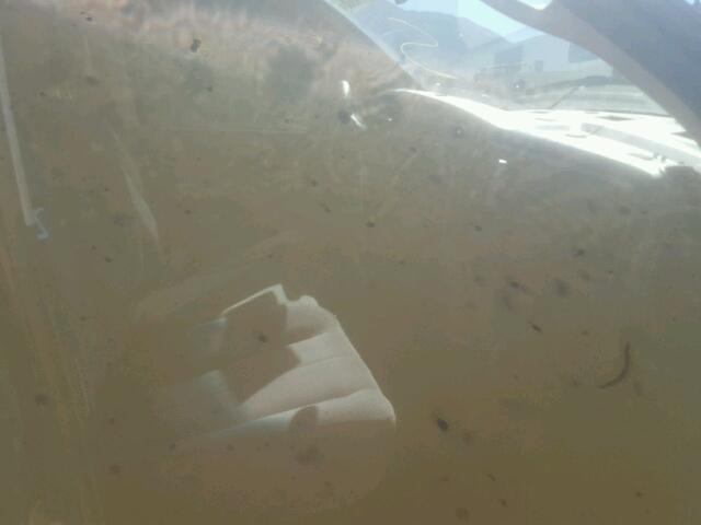 3D7KU28D23G764485 - 2003 DODGE RAM 2500 S BLUE photo 5