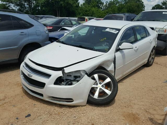 1G1ZC5EU1BF368672 - 2011 CHEVROLET MALIBU 1LT 白色 照片 2