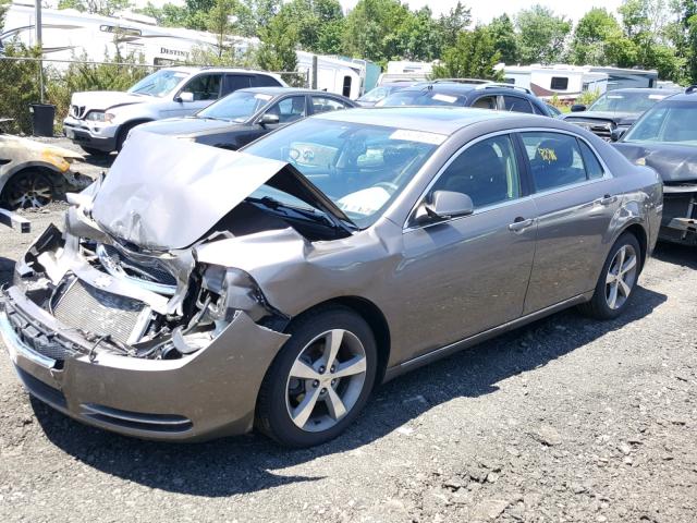 1G1ZC5E14BF110734 - 2011 CHEVROLET MALIBU 1LT ყავისფერი ფოტო 2