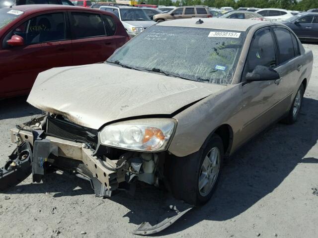 1G1ZT54895F268800 - 2005 CHEVROLET MALIBU LS 金色 照片 2