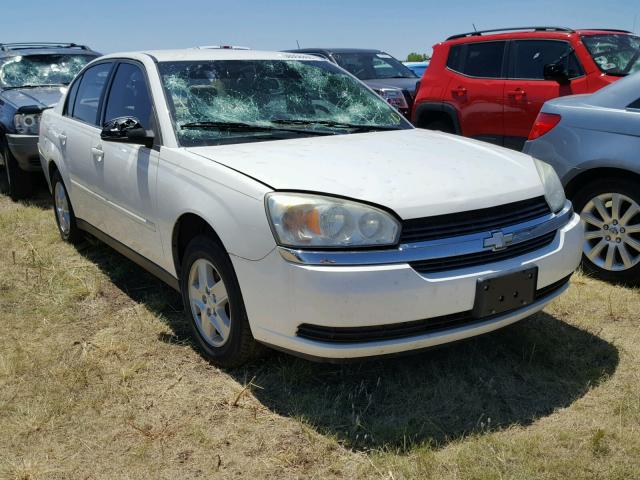 1G1ZT54835F221679 - 2005 CHEVROLET MALIBU LS WHITE photo 1