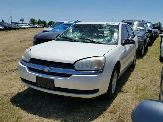 1G1ZT54835F221679 - 2005 CHEVROLET MALIBU LS WHITE photo 2