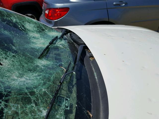 1G1ZT54835F221679 - 2005 CHEVROLET MALIBU LS WHITE photo 9