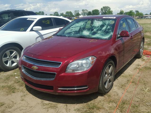 1G1ZC5E17BF288993 - 2011 CHEVROLET MALIBU 1LT RED photo 2