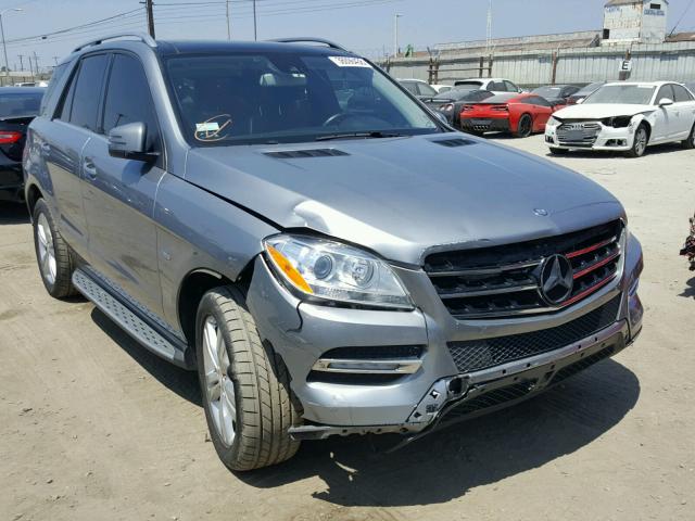 4JGDA2EBXCA006192 - 2012 MERCEDES-BENZ ML 350 BLU SILVER photo 1