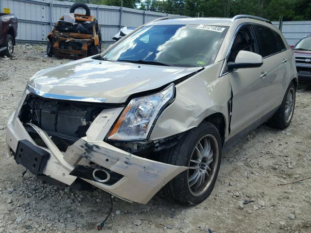 3GYFNFEY4BS675420 - 2011 CADILLAC SRX PREMIU GOLD photo 2