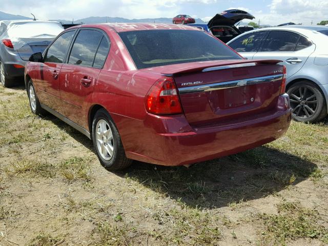1G1ZT54895F154599 - 2005 CHEVROLET MALIBU LS 红色 照片 3