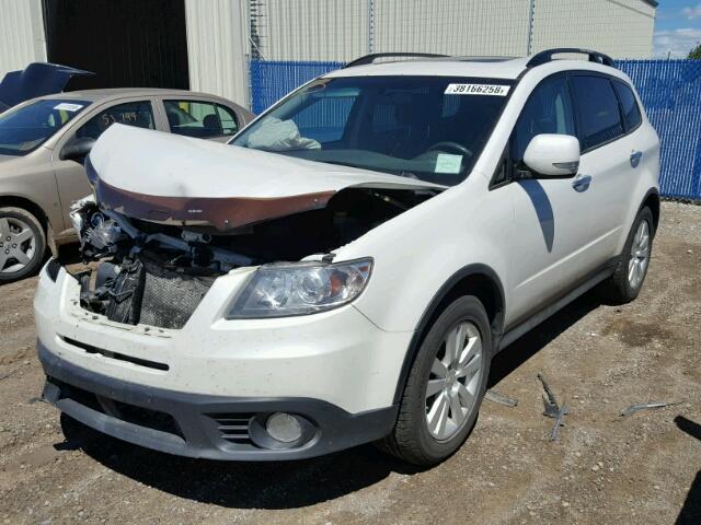 4S4WX91D584402382 - 2008 SUBARU TRIBECA WHITE photo 2