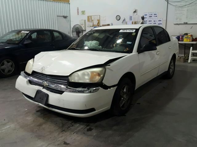 1G1ZT54845F329258 - 2005 CHEVROLET MALIBU LS WHITE photo 2