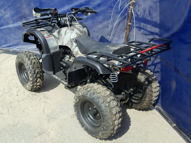 L6ZSCKLA0D1000927 - 2000 OTHE ATV TWO TONE photo 3