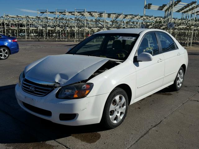 KNAFE221195667279 - 2009 KIA SPECTRA EX WHITE photo 2