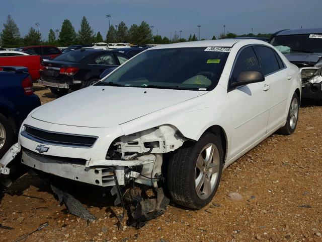 1G1ZA5EB5AF305562 - 2010 CHEVROLET MALIBU LS WHITE photo 2