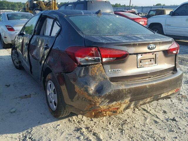 3KPFL4A76HE147768 - 2017 KIA FORTE LX BROWN photo 3