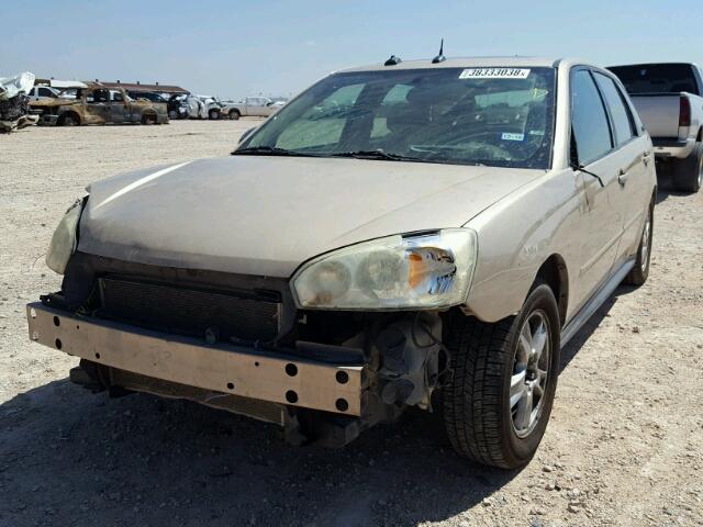 1G1ZT64894F199997 - 2004 CHEVROLET MALIBU MAX 金色 照片 2