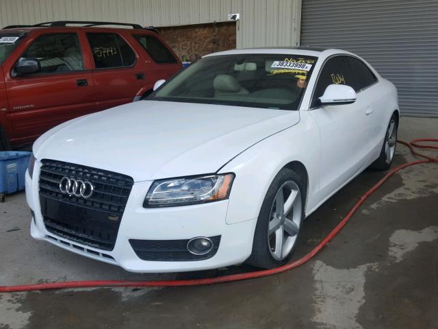 WAUDK78T29A029197 - 2009 AUDI A5 QUATTRO WHITE photo 2