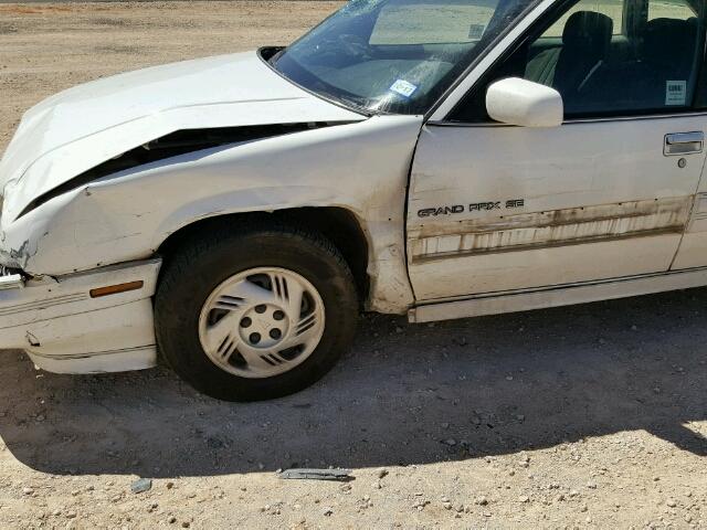 1G2WJ52M9RF252252 - 1994 PONTIAC GRAND PRIX WHITE photo 10