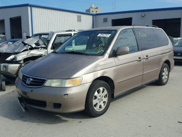 5FNRL18974B087118 - 2004 HONDA ODYSSEY GOLD photo 2