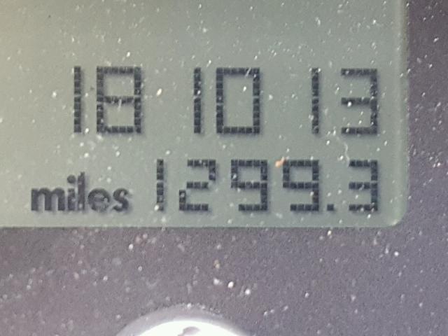 3VWCD31Y25M307288 - 2005 VOLKSWAGEN NEW BEETLE 红色 照片 8