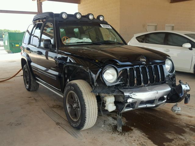 1J4GK38K34W116516 - 2004 JEEP LIBERTY RE BLACK photo 1